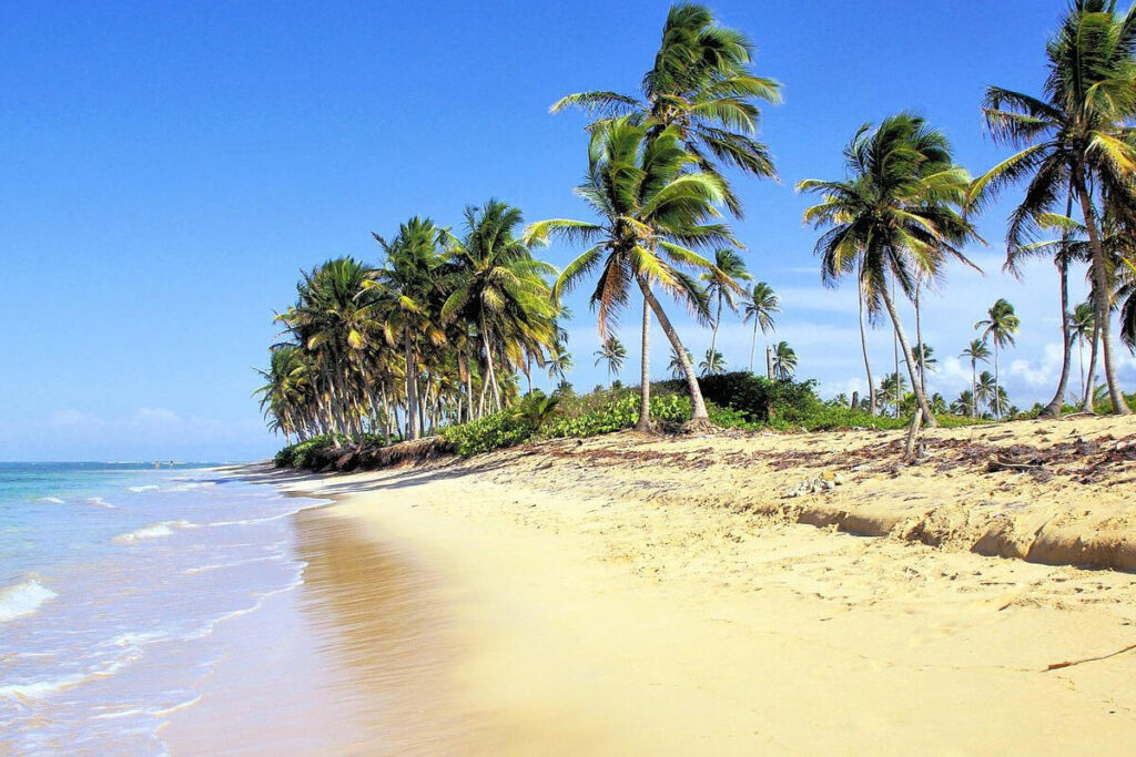 Playas de República Dominicana Conoce las 7 mejores- Playas de Isla Catalina